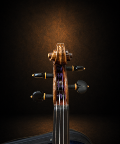 Hộp chốt violin Bella Armonia size 4/4 nhìn từ phía trước
