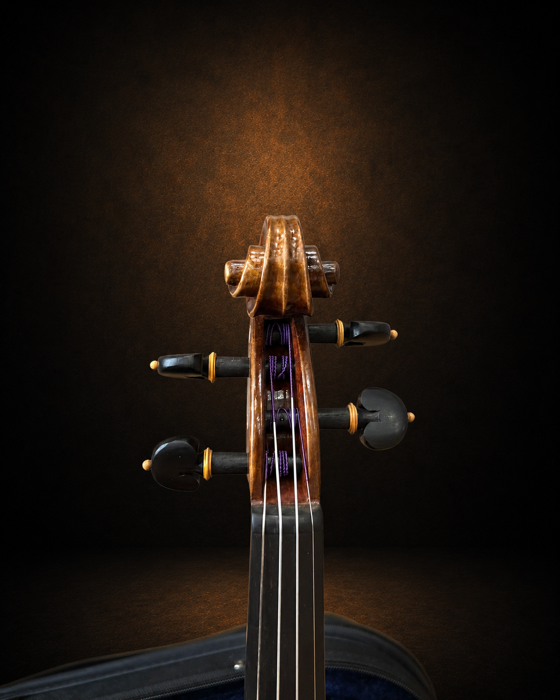 Hộp chốt violin Bella Armonia size 4/4 nhìn từ phía trước