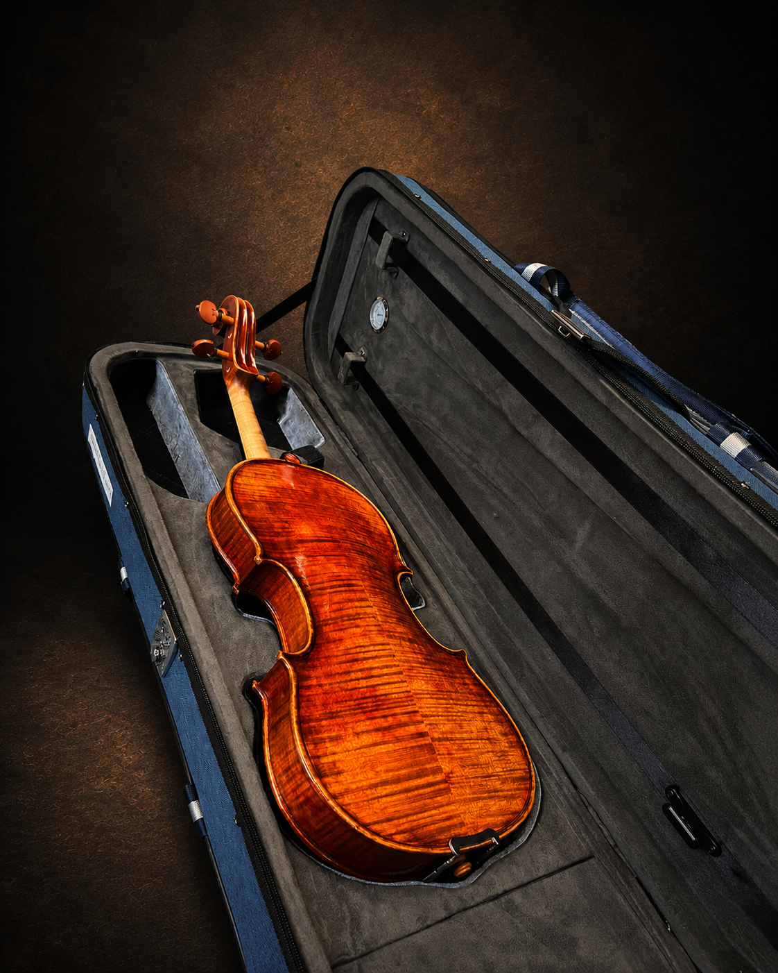 Mặt lưng violin Claus Hermann No.68 size 4/4 nằm trong hộp mở