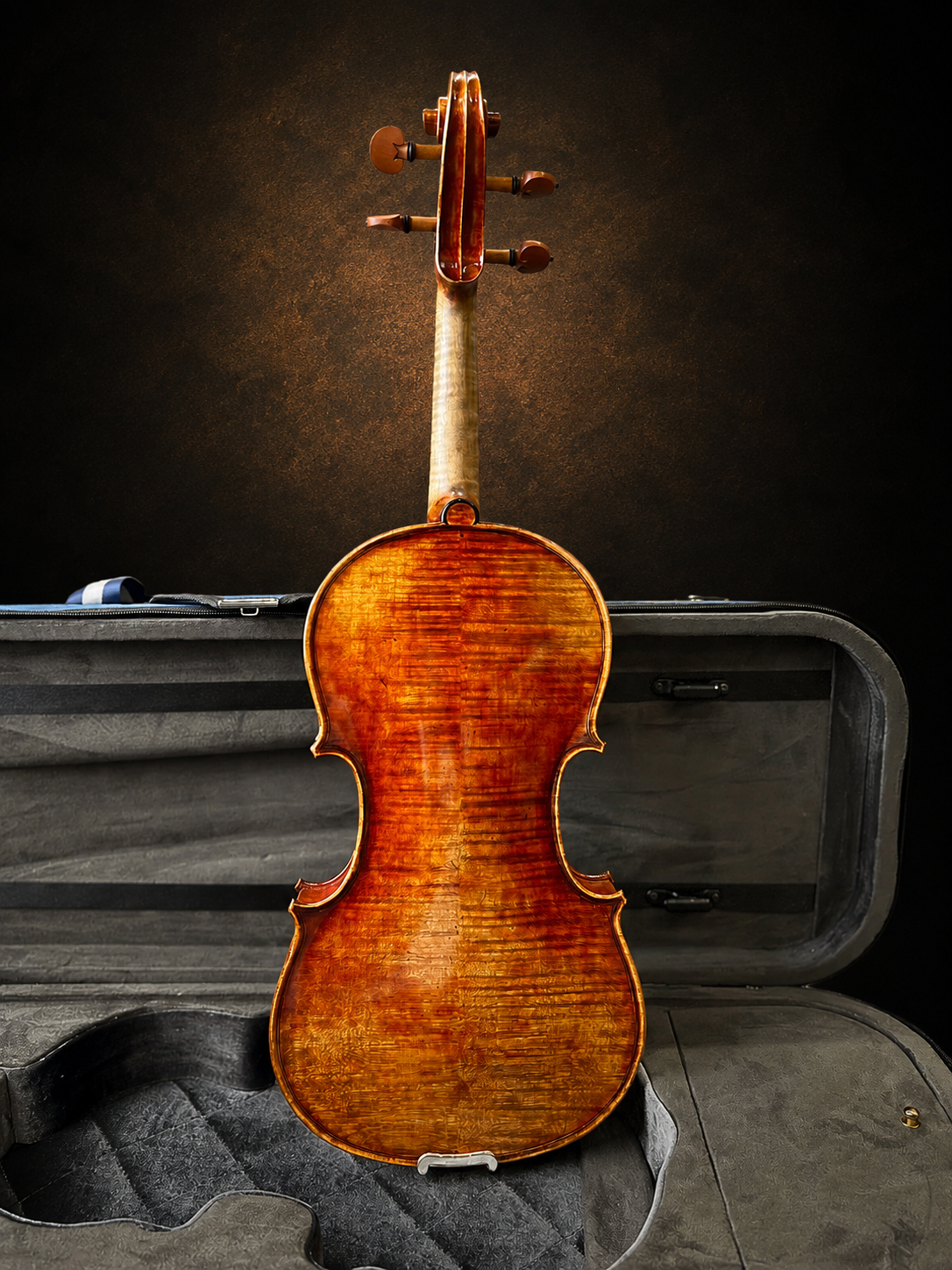 Toàn bộ mặt lưng violin Claus Hermann No.68 size 4/4 đặt đứng