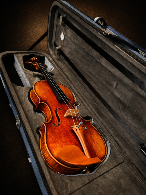 Mặt trước violin Claus Hermann No.68 size 4/4 nằm trong hộp mở
