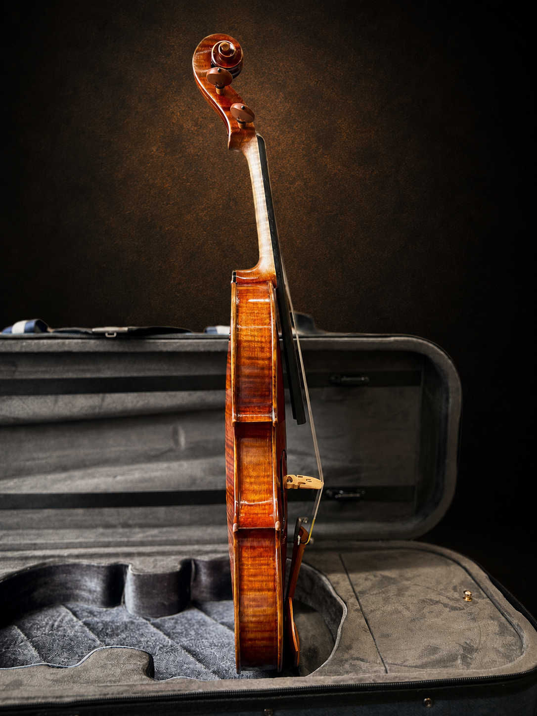 Góc nghiêng hông violin Claus Hermann No.68 size 4/4, mặt đàn hướng sang phải