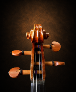 Hộp chốt violin Claus Hermann No.68 size 4/4 nhìn từ phía trước