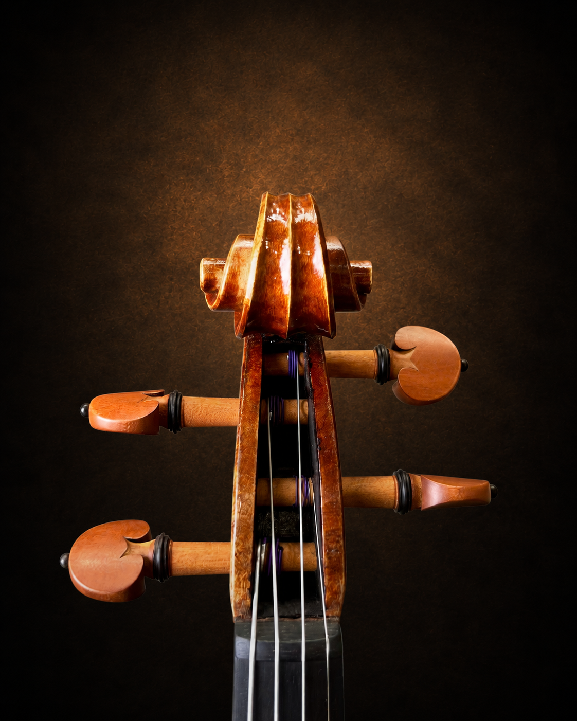 Hộp chốt violin Claus Hermann No.68 size 4/4 nhìn từ phía trước