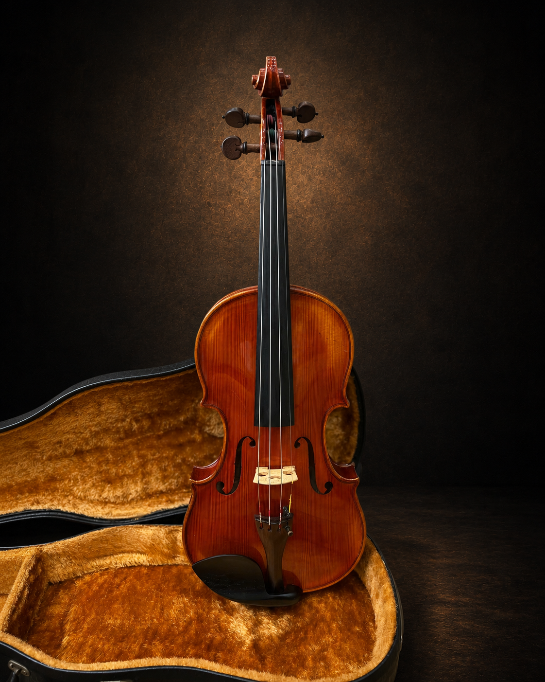 Toàn bộ mặt trước violin J.H. Müller Nr.70 size 4/4 đặt đứng