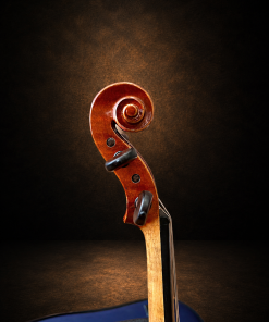 Đầu cuộn và chốt lên dây violin J.H. Müller Nr.70 size 4/4 nhìn nghiêng