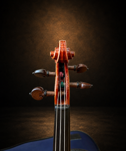 Hộp chốt violin J.H. Müller Nr.70 size 4/4 nhìn từ phía trước