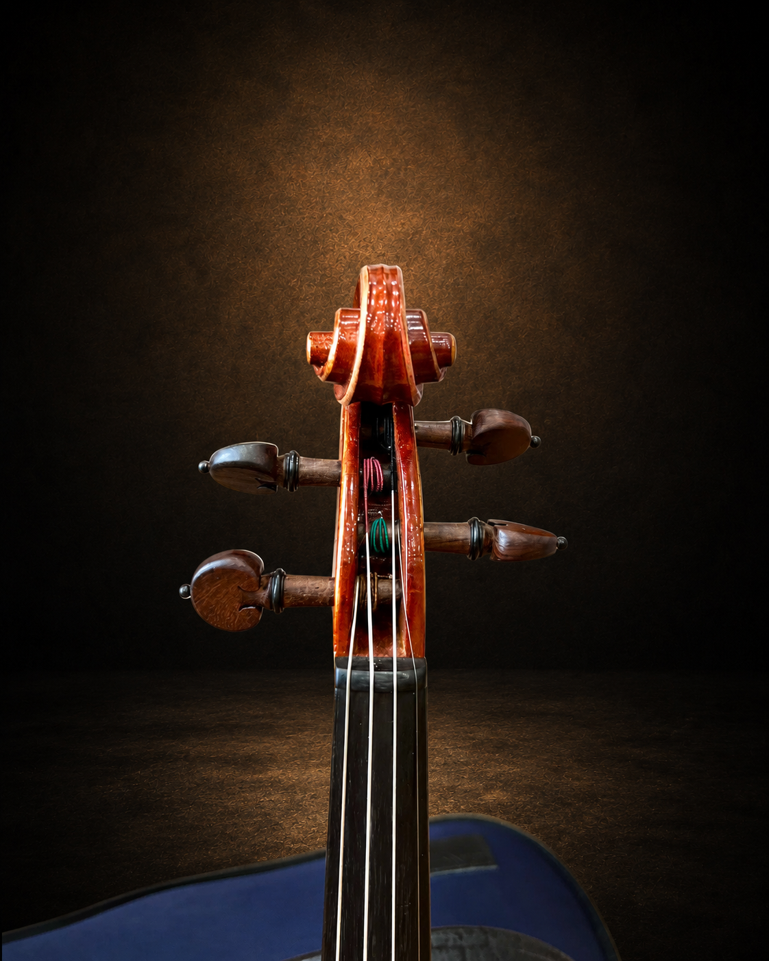 Hộp chốt violin J.H. Müller Nr.70 size 4/4 nhìn từ phía trước