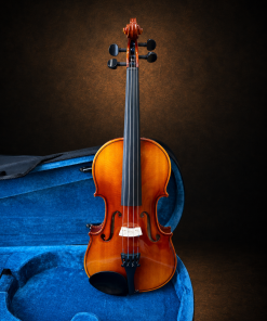 Toàn bộ mặt trước violin Suzuki No.210 size 3/4 đặt đứng