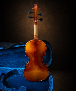Toàn bộ mặt lưng violin Suzuki No.210 size 3/4 đặt đứng