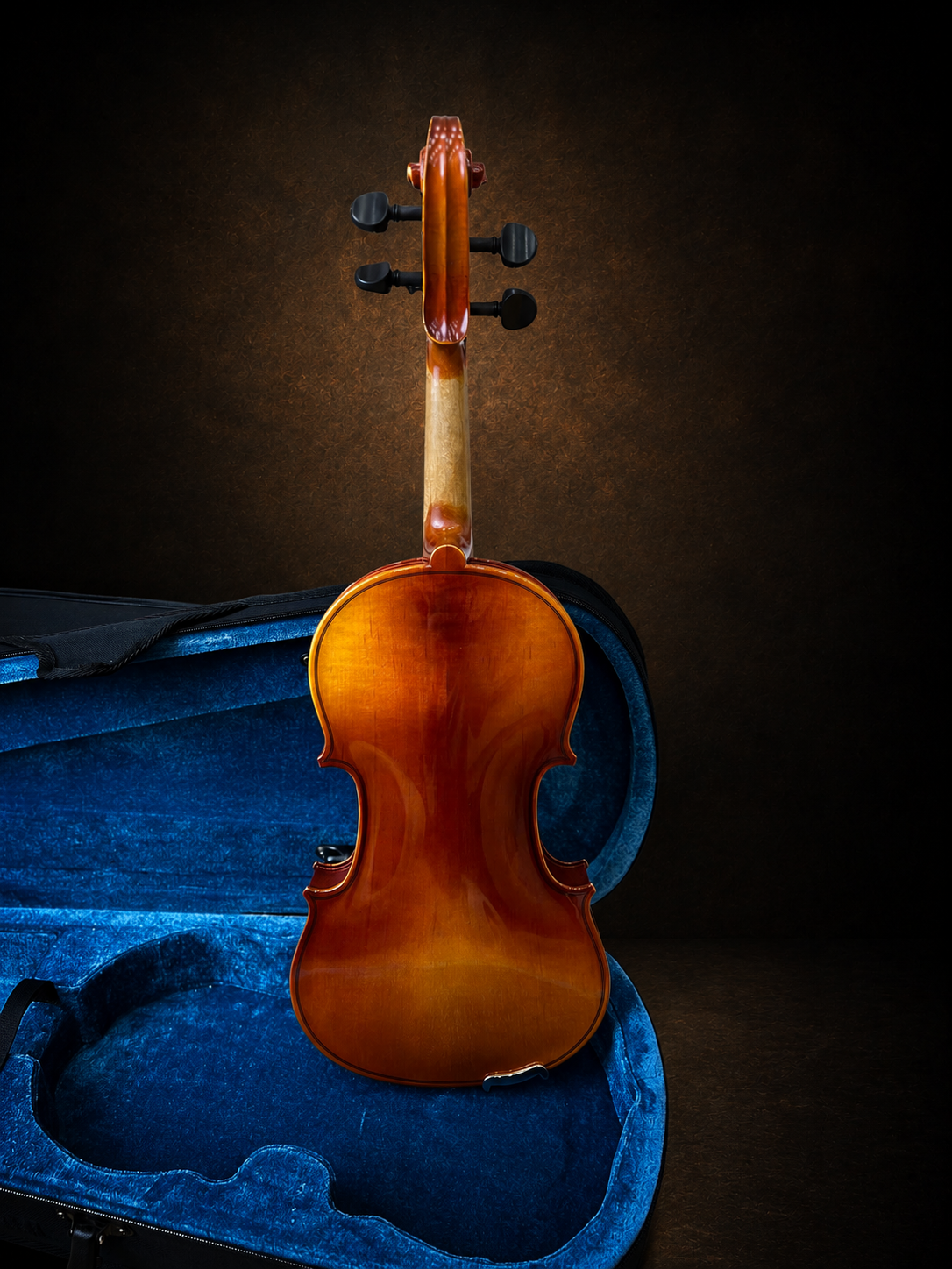 Toàn bộ mặt lưng violin Suzuki No.210 size 3/4 đặt đứng