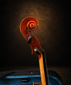 Đầu cuộn và chốt lên dây violin Suzuki No.210 size 3/4 nhìn nghiêng