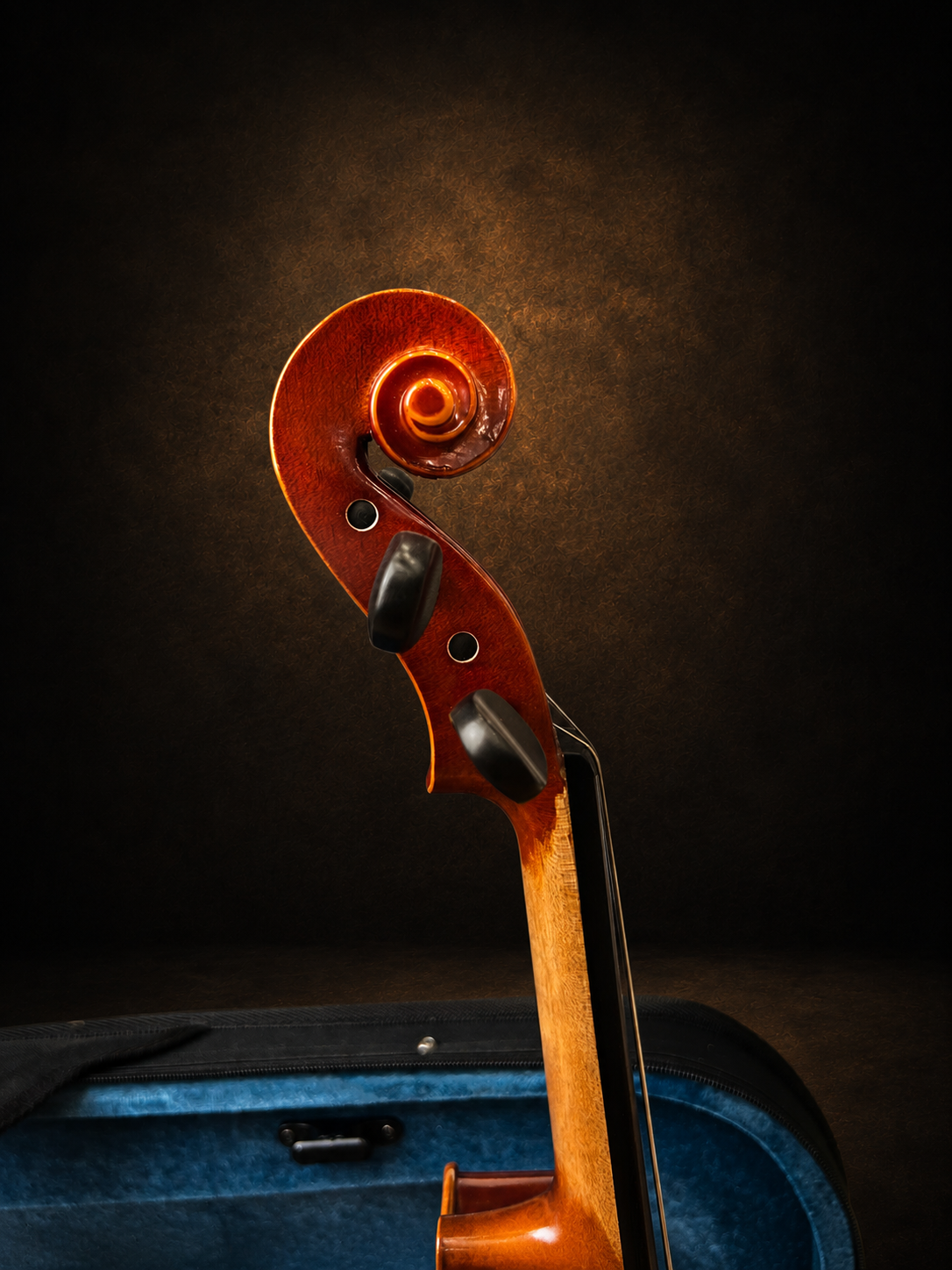 Đầu cuộn và chốt lên dây violin Suzuki No.210 size 3/4 nhìn nghiêng
