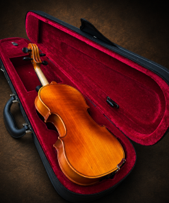 Mặt lưng violin Suzuki No.220 size 1/4 nằm trong hộp mở