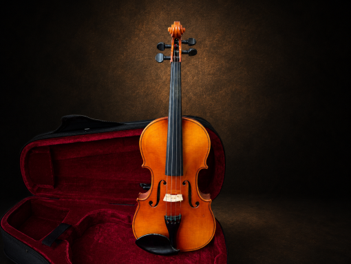 Toàn bộ mặt trước violin Suzuki No.220 size 1/4 đặt đứng