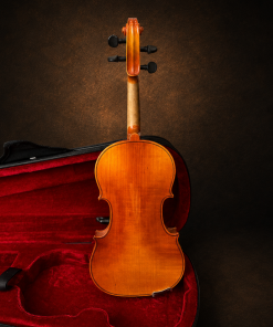 Toàn bộ mặt lưng violin Suzuki No.220 size 1/4 đặt đứng