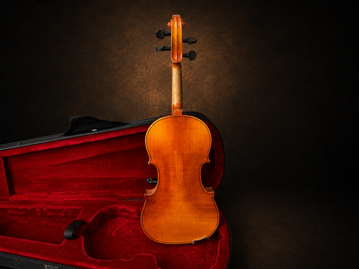 Toàn bộ mặt lưng violin Suzuki No.220 size 1/4 đặt đứng