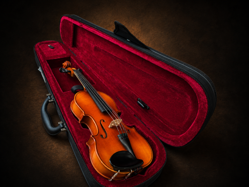 Mặt trước violin Suzuki No.220 size 1/4 nằm trong hộp mở