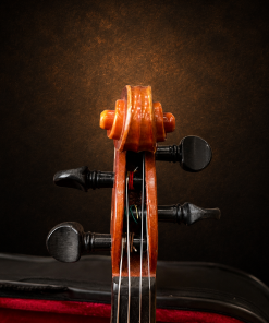 Hộp chốt violin Suzuki No.220 size 1/4 nhìn từ phía trước