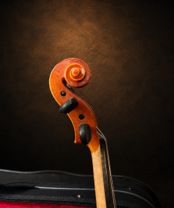 Đầu cuộn và chốt lên dây violin Suzuki No.220 size 1/4 nhìn nghiêng