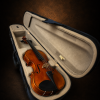 Mặt trước violin Suzuki No.230 size 3/4 trong hộp mở
