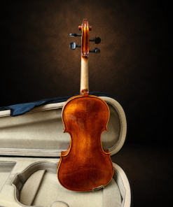 Toàn bộ mặt lưng violin Suzuki No.230 size 3/4 đặt đứng