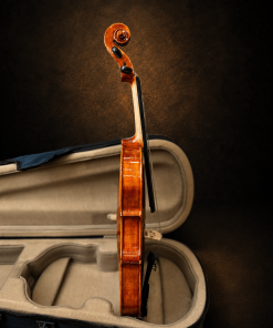 Góc nghiêng hông violin Suzuki No.230 size 3/4, mặt đàn hướng sang phải