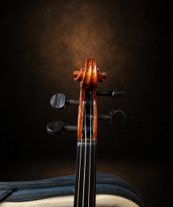 Hộp chốt violin Suzuki No.230 size 3/4 nhìn từ phía trước