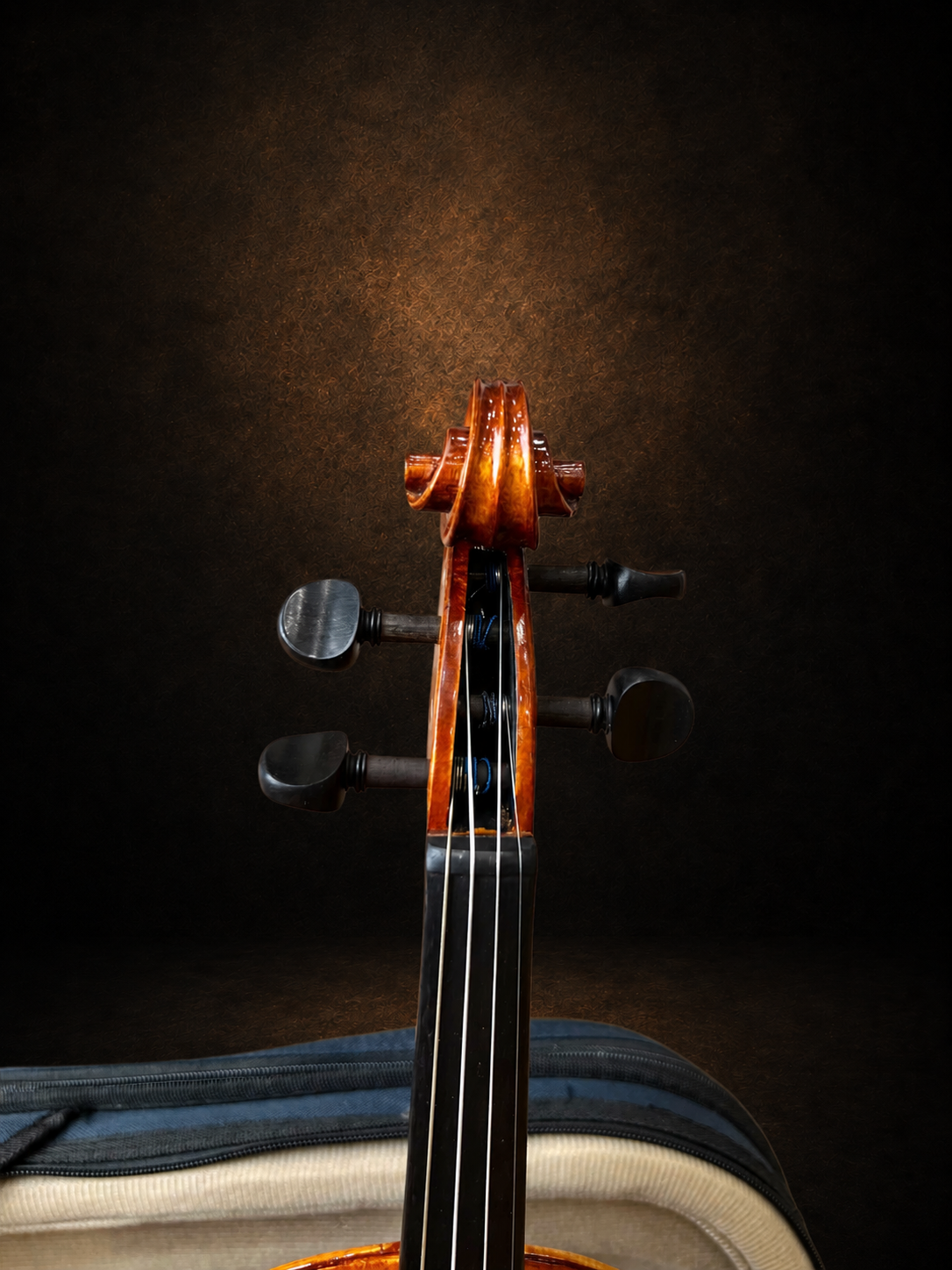 Hộp chốt violin Suzuki No.230 size 3/4 nhìn từ phía trước