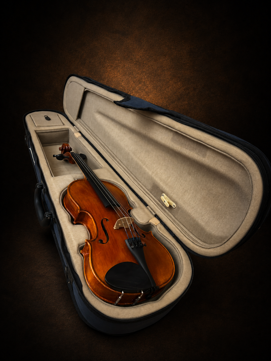Mặt trước violin Suzuki No.230 size 3/4 trong hộp mở