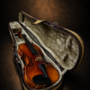 Mặt trước violin Suzuki No.300 size 4/4 trong hộp mở