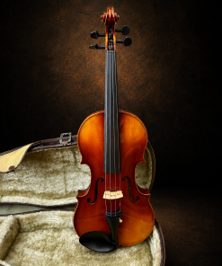Toàn bộ mặt trước violin Suzuki No.300 size 4/4 đặt đứng