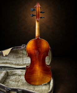Toàn bộ mặt lưng violin Suzuki No.300 size 4/4 đặt đứng
