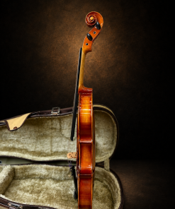 Góc nghiêng hông violin Suzuki No.300 size 4/4, mặt đàn hướng sang trái