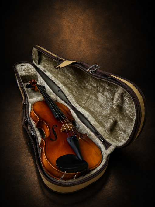 Mặt trước violin Suzuki No.300 size 4/4 trong hộp mở