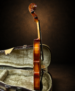 Góc nghiêng hông đối diện của violin Suzuki No.300 size 4/4