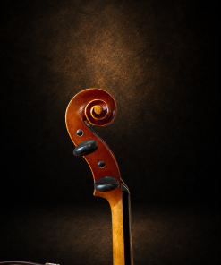 Đầu cuộn và chốt lên dây violin Suzuki No.300 size 4/4 nhìn nghiêng