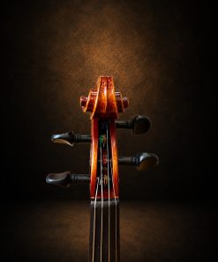 Hộp chốt violin Suzuki No.300 size 4/4 nhìn từ phía trước