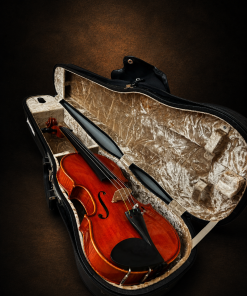 Mặt trước violin Suzuki No.330 size 3/4 nằm trong hộp mở