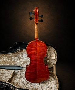 Toàn bộ mặt lưng violin Suzuki No.330 size 3/4 đặt đứng