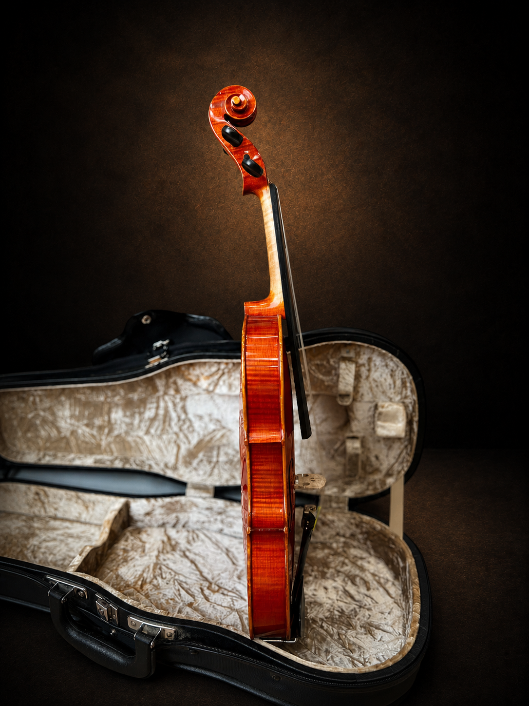 Góc nghiêng hông violin Suzuki No.330 size 3/4, mặt đàn hướng sang phải