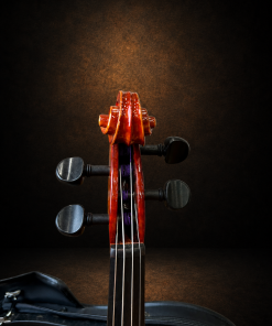 Hộp chốt violin Suzuki No.330 size 3/4 nhìn từ phía trước
