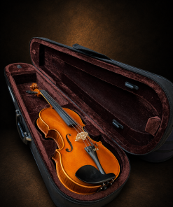 Mặt trước violin mang nhãn Antonius Stradivarius 1719 nằm trong hộp mở