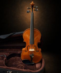 Toàn bộ mặt trước violin mang nhãn Antonius Stradivarius 1719 đặt đứng