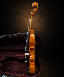 Góc nghiêng hông violin mang nhãn Antonius Stradivarius 1719, mặt đàn hướng sang trái