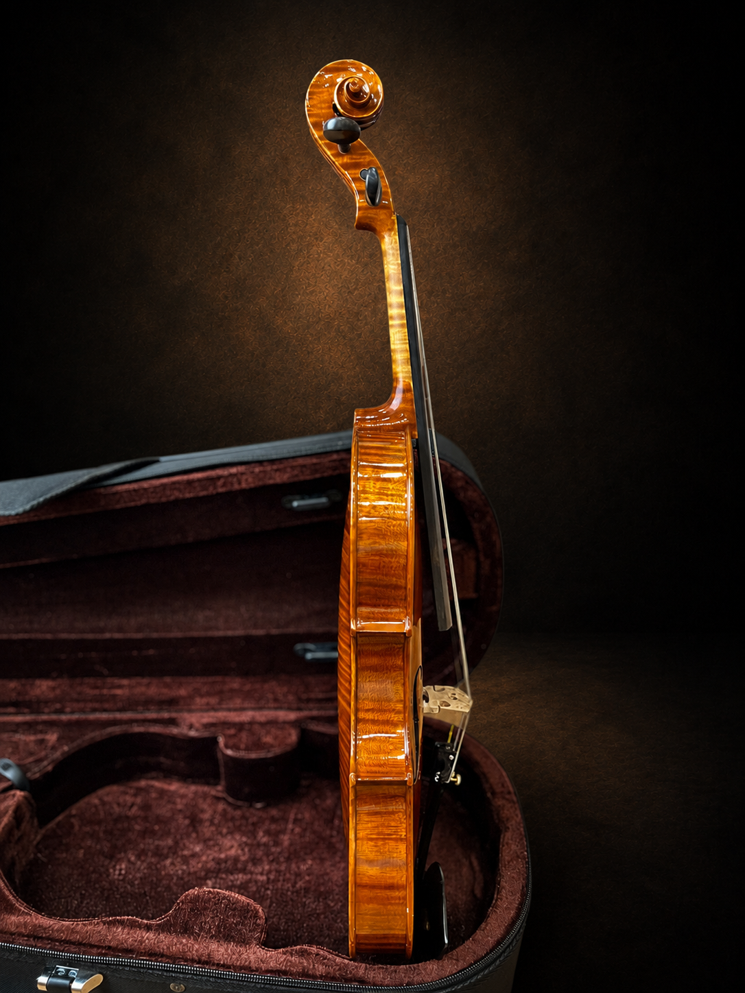 Góc nghiêng hông violin mang nhãn Antonius Stradivarius 1719, mặt đàn hướng sang phải
