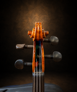 Hộp chốt violin mang nhãn Antonius Stradivarius 1719 nhìn từ phía trước