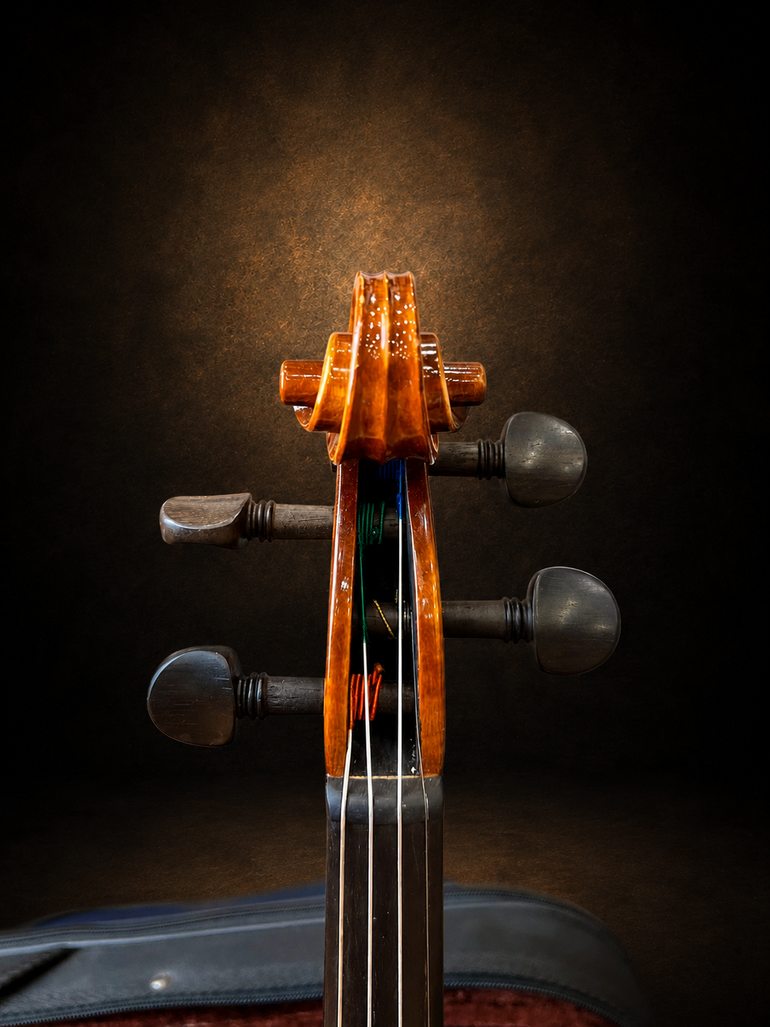 Hộp chốt violin mang nhãn Antonius Stradivarius 1719 nhìn từ phía trước