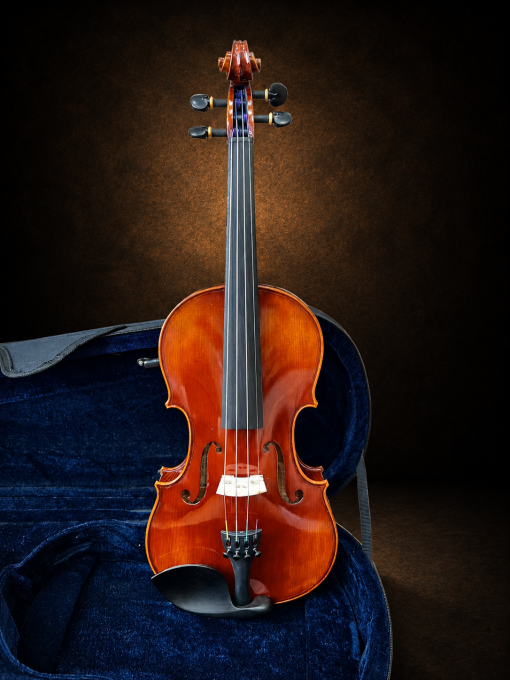 Toàn bộ mặt trước violin Bella Armonia Modell CONTROLATTIA size 4/4 đặt đứng