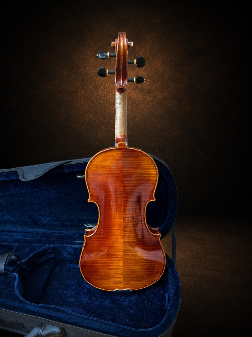 Toàn bộ mặt lưng violin Bella Armonia Modell CONTROLATTIA size 4/4 đặt đứng